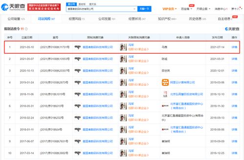 愛國者公司被限制高消費，計算機軟硬件業務面臨挑戰